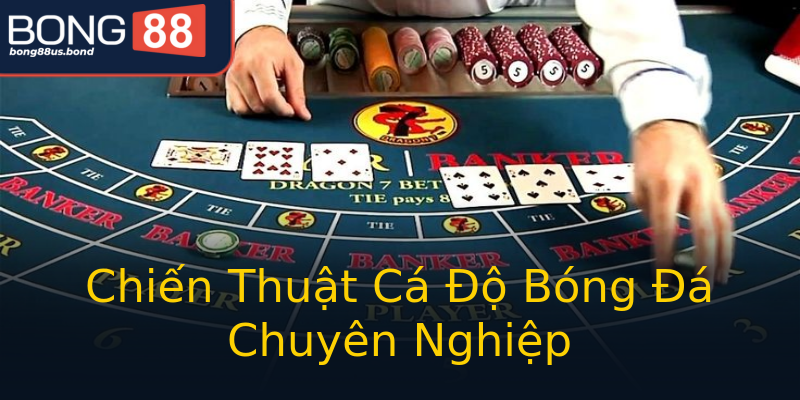 Chiến Thuật Cá Độ Bóng Đá Chuyên Nghiệp Chiến Thuật Cá Độ Bóng Đá Chuyên Nghiệp