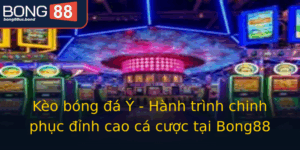 Keo Bong A Y Hanh Trinh Chinh Phuc Inh Cao Ca Cuoc Tai Bong88