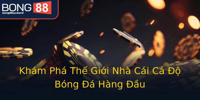 Khám Phá Thế Giới Nhà Cái Cá Độ Bóng Đá Hàng Đầu