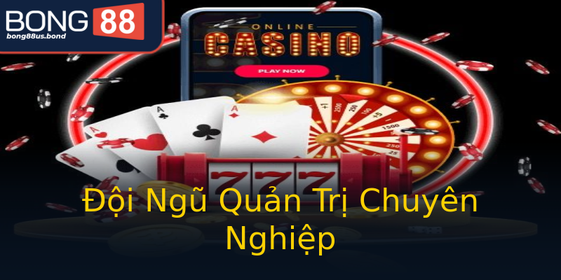 Đội Ngũ Quản Trị Chuyên Nghiệp