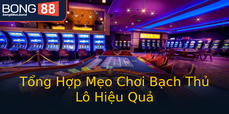 Tổng Hợp Mẹo Chơi Bạch Thủ Lô Hiệu Quả