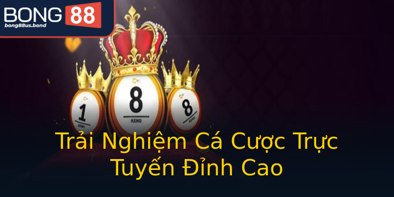 Trải Nghiệm Cá Cược Trực Tuyến Đỉnh Cao Trải Nghiệm Cá Cược Trực Tuyến Đỉnh Cao
